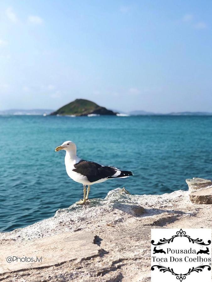 Pousada Toca Dos Coelhos Arraial do Cabo Zewnętrze zdjęcie