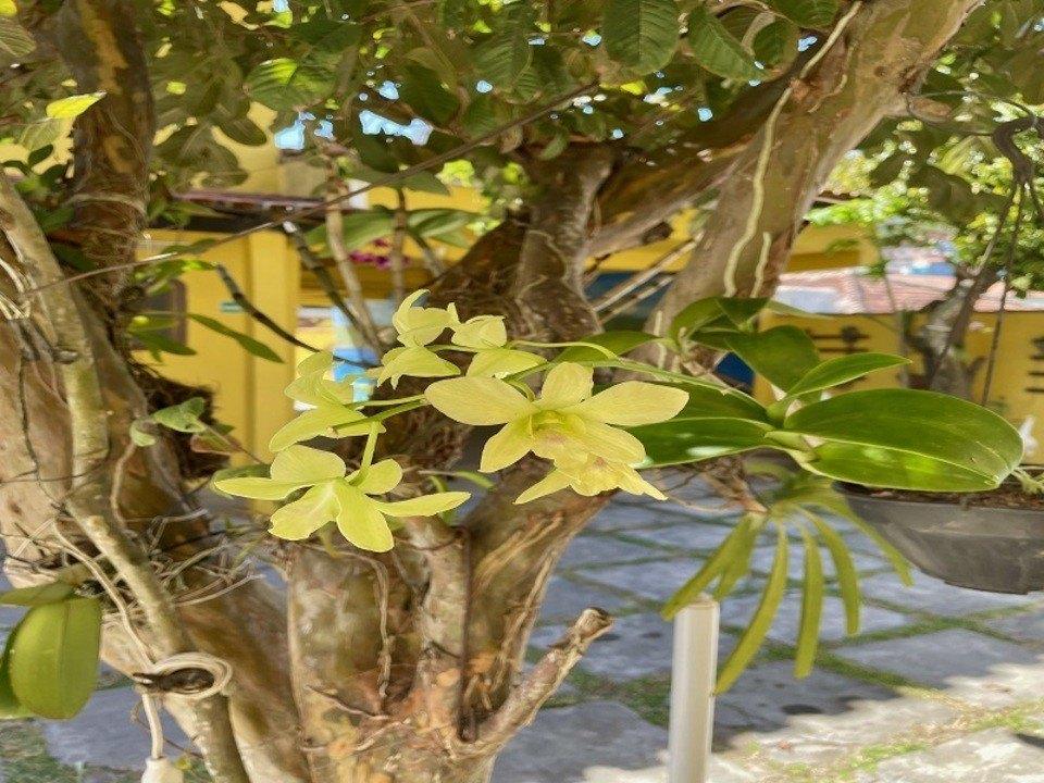 Pousada Toca Dos Coelhos Arraial do Cabo Zewnętrze zdjęcie
